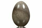 Petrified Palmwood (Palmoxylon) Egg - California #309051-1